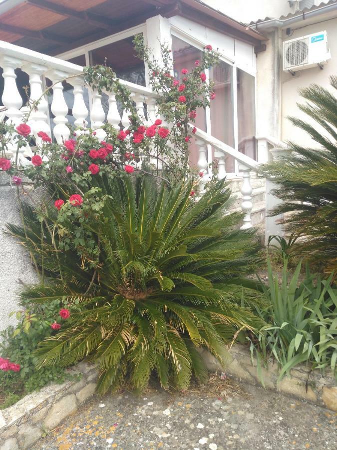 Apartments Ruza Dragove Dugi Otok Luaran gambar